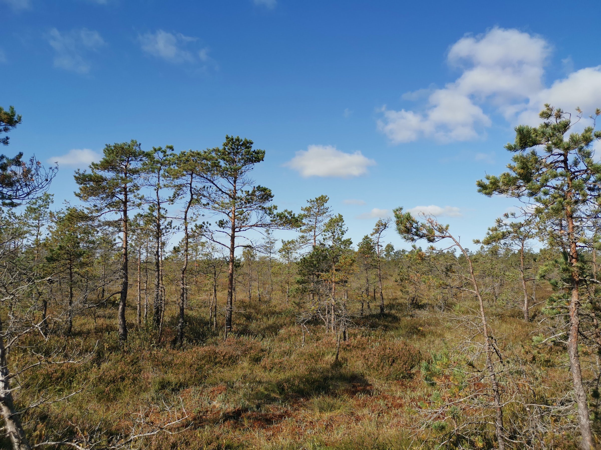 Mūšos Tyrelis Educational Trail
